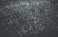 美国留学学制讲解