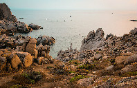 美国留学如何选课？（上）