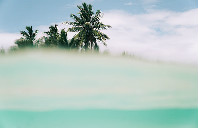 美国留学如何选课？（下）