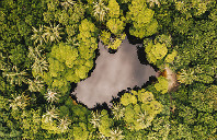 美国留学双录取讲解（上）