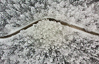 美国留学不提交标准化成绩后果讲解