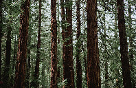 加拿大留学蒙特利尔大学优势及热门专业介绍