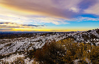 留学加拿大考雅思还是考托福？