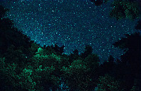 留学加拿大麦吉尔大学如何？