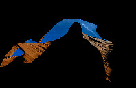 留学加拿大商科专业优势分析（下）