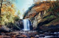 留学加拿大都有哪些就业前景好的专业（上）