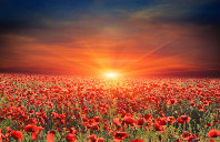 留学加拿大商学院申请条件介绍（上）