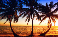 留学加拿大热门专业介绍