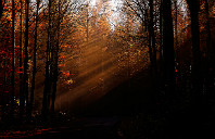 留学加拿大戴尔豪斯大学条件及费用介绍（上）