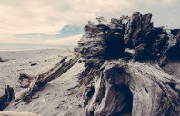 留学加拿大渥太华大学申请条件及难度介绍