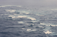 留学加拿大有哪些热门专业？