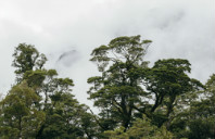 留学加拿大英属哥伦比亚大学专业介绍