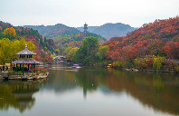 留学加拿大麦吉尔大学申请条件及费用介绍