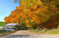 留学加拿大英属哥伦比亚大学本科申请条件介绍