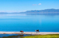 留学加拿大西安大略大学申请条件介绍