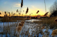 留学英国奢侈品管理专业介绍（下）