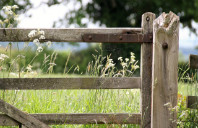 留学英国纽卡斯大学新闻学专业如何？