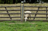 留学英国舞蹈专业院校推荐