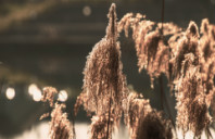 留学英国诺丁汉心理学专业解读（上）