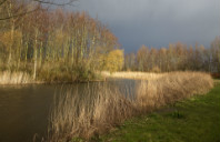 留学英国利兹大学传媒专业如何？（上）