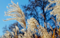 留学英国利兹大学传媒专业如何？（下）