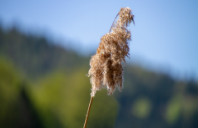 留学英国计算机专业如何？