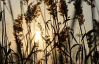 留学英国体育专业如何？（下）