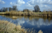 留学英国法律如何?(上)