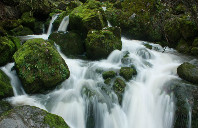 留学英国伦敦政治经济学院都有哪些值得申请的专业?