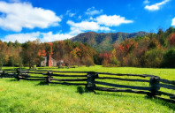 留学英国商科本科背景要求介绍