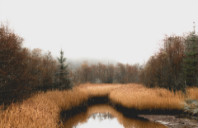 留学英国爱丁堡大学法学专业介绍（上）