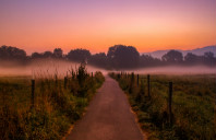 留学英国牛津大学生物医学专业介绍（下）