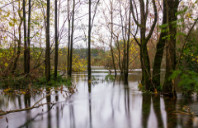 留学英国会计及金融专业介绍（下）