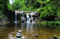 留学加拿大公共关系如何？（下）