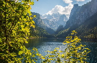 加拿大的热门专业都有哪些院校可以选择?