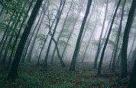 留学加拿大心理专业简介（下）