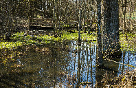 留学加拿大传媒专业需要哪些条件？（上）