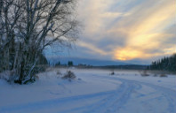 专科生留学加拿大有哪些专业可选？