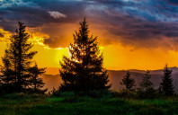 加拿大西安大略大学传媒专业介绍（下）