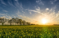 留学加拿大电器工程专业如何？（上）