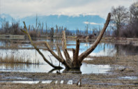 留学加拿大护理硕士分类及前景介绍