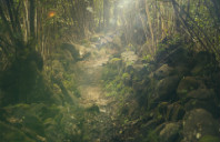 申请加拿大传媒专业条件介绍