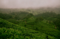 留学加拿大教育硕士申请要求介绍