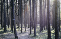 留学加拿大时尚管理专业介绍