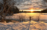 留学加拿大渥太华大学入学条件介绍