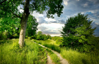 留学加拿大有哪些专业可选？（下）