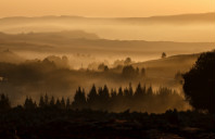 申请加拿大商科需要哪些条件？
