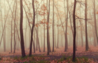 申请加拿大计算机工程专业需要哪些条件？