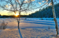 如何申请加拿大会计专业？