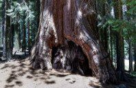 留学英国拉夫堡大学如何？（上）